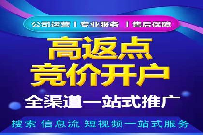 案例教学：轻松掌握竞价推广方法