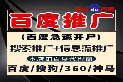 实战技巧：竞价推广公司案例深度解读